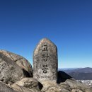 달리는커피북면점