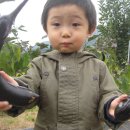 곤이농장 이미지