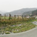 진도식당보리밥집 이미지