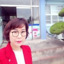 신의초등학교 이미지