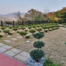 노블레스 식당