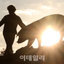 돈다산농장 이미지
