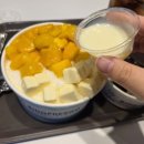 [강서] 요거트 아이스크림 맛집 :: 빙프레소 요거트 베이커리 🍧