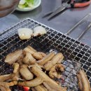 자갈치꼼장어 이미지