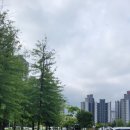 대농푸드 이미지