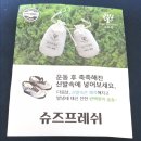 뽕슈즈