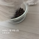 영국에서 온 프라미엄 어덜트 사료 푸치앤머트 체중 피모 관리 시작
