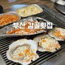 감골횟집 | 부산 조개구이 맛집 감골횟집 모둠 회 광안리 먹거리 만족했던 부산 가족 외식장소