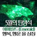 에메랄드 Daum카페