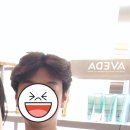 헤어포레아덴 이미지