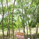 탑산농장 네이버블로그