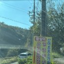 경기도 안성 &lt;참살이 오토가족캠핑장&gt; 후기 ft. 버스킹은 덤