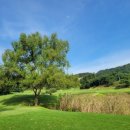 강동로4-4 이미지