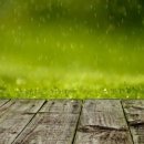 글로비다 이미지