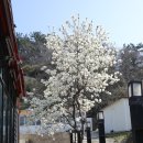 해파랑길 포항 구간 17코스 (송도해변에서 영일대해수욕장, 포항해상스카이워크, 칠포해변까지)