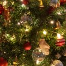 크리스마스 트리 이미지