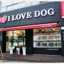 아이러브독 강아지 부천점 이미지