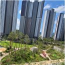 좋은집아이파크부동산중개사무소 | 중개 노하우와 실력으로 믿을 수 있는 대전아이파크시티1단지 부동산 이야기