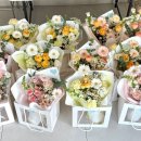 시청지하철역 7번 출구 맞은편 이미지