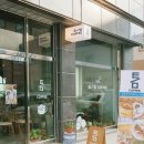 도안동 신상 카페 틈 커피 방문 후기