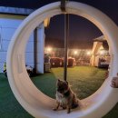 꼰띠고애견펜션1 이미지