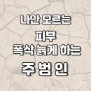 렛미인헤어미용실 이미지
