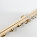 플룻 (B)? 이미지