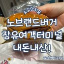 장유 무계지하차도 | 장유 노브랜드버거 장유여객터미널점 치즈버거 내돈내산!