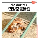 경남 진주 진양호 동물원 호랑이 보러 아기랑 갈만한곳