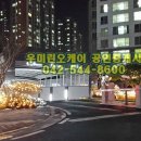 용문체육관(태권도) 네이버블로그