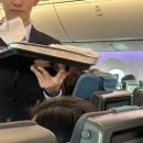 싱가포르항공 타고 싱가포르 / 상세한 후기 / 기내식(어린이,성인) / 무료 와이파이 이용하는 방법