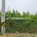 대창면행정복지센터 이미지