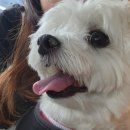 옹기종기 이미지