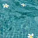 닥터포헤어(잠실점) | 잠실두피관리 추천 닥터포헤어 송파잠실점에서 시그니처 관리 받은 후기