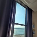 세븐일레븐 강릉경포로점 이미지