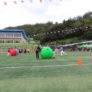 화양중학교 Daum카페
