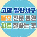 고양 일산서구 탈모 전문 병원 두피 탈모관리 잘하는 곳 추천 List