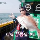 참바다 이미지