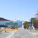 방성1리 이미지