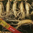 완도전복사료 이미지