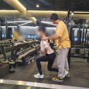 페르소나PT