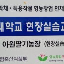 아원농장 이미지