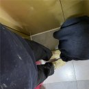 스스로 뚝딱 | 30대 여자 도배사 도전기｜첨단중흥S클래스리버시티 34평 도배 시공 후기, 뚝딱거리는 초보의 하루