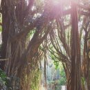 풍성슈퍼 이미지