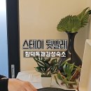 스테이 뒷빌레 이미지