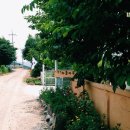 다솔마루 이미지