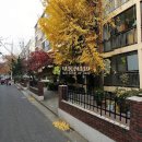 원종로9번길 이미지