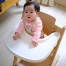 하이체어 추천 신형 스토케 트리트랩 색상 배송 조립 단점 후기 리뷰 내돈내산