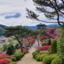 용호강 황토 이미지