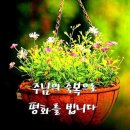 인간미